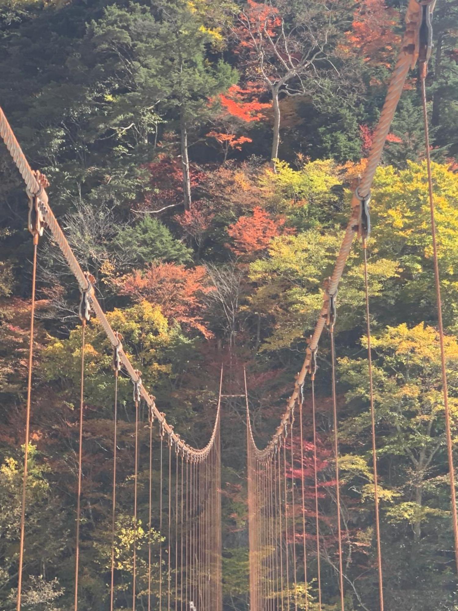 コテージ野の香 大町市 エクステリア 写真